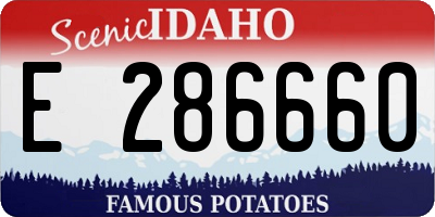ID license plate E286660
