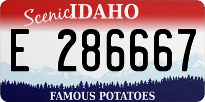 ID license plate E286667