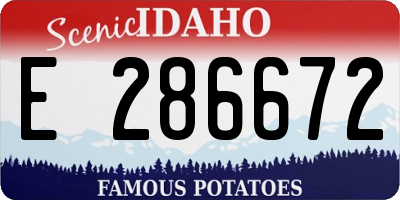 ID license plate E286672