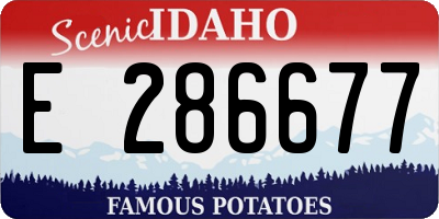 ID license plate E286677