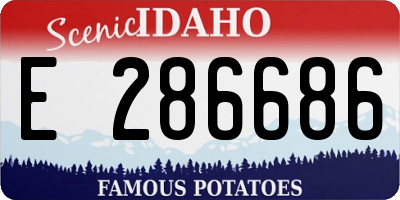 ID license plate E286686