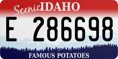 ID license plate E286698