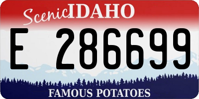 ID license plate E286699