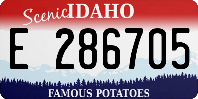 ID license plate E286705
