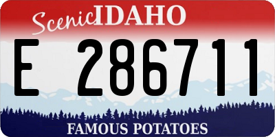 ID license plate E286711