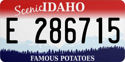 ID license plate E286715
