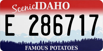 ID license plate E286717