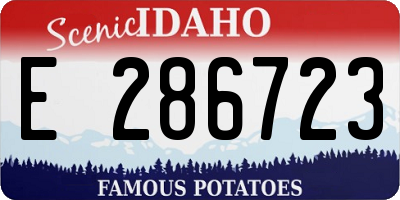 ID license plate E286723