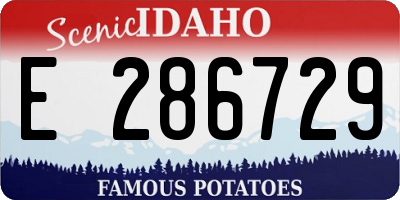 ID license plate E286729