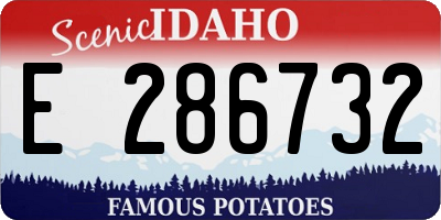 ID license plate E286732
