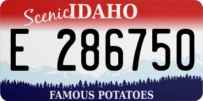 ID license plate E286750
