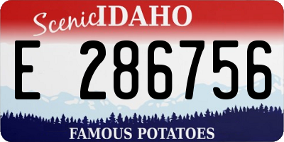 ID license plate E286756