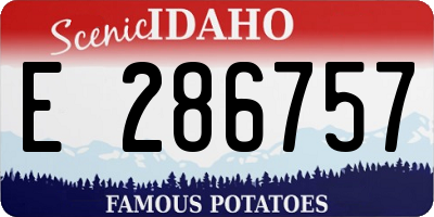 ID license plate E286757