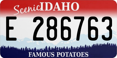ID license plate E286763