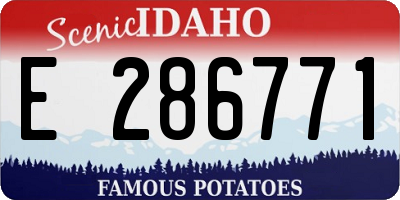 ID license plate E286771