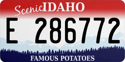 ID license plate E286772