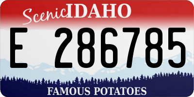 ID license plate E286785