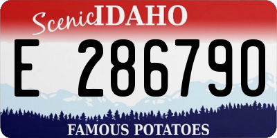ID license plate E286790