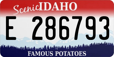 ID license plate E286793