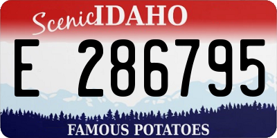 ID license plate E286795