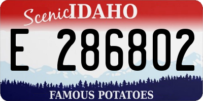 ID license plate E286802