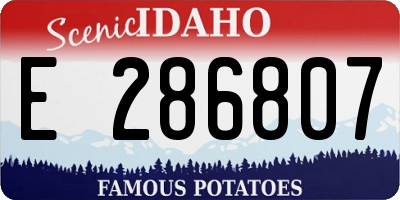 ID license plate E286807