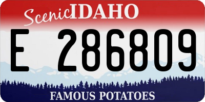 ID license plate E286809