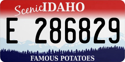 ID license plate E286829