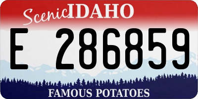 ID license plate E286859