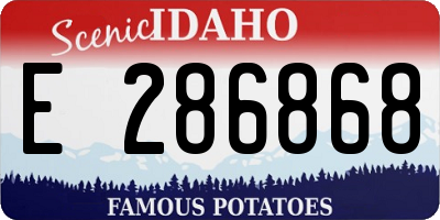 ID license plate E286868
