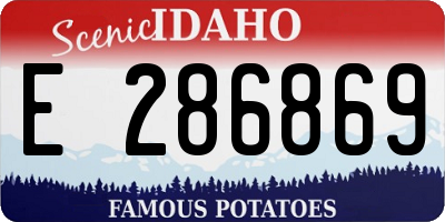 ID license plate E286869