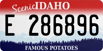 ID license plate E286896