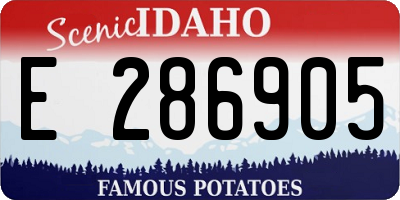 ID license plate E286905