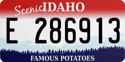 ID license plate E286913