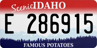 ID license plate E286915
