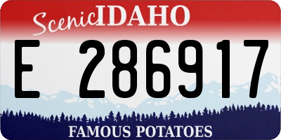 ID license plate E286917
