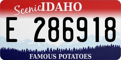 ID license plate E286918