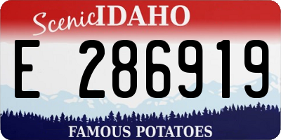 ID license plate E286919