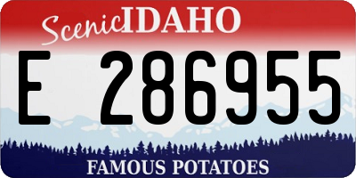 ID license plate E286955