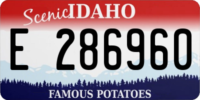 ID license plate E286960