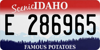 ID license plate E286965