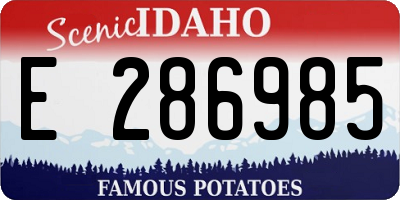 ID license plate E286985
