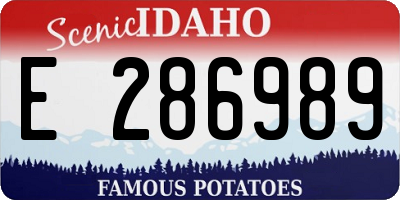ID license plate E286989