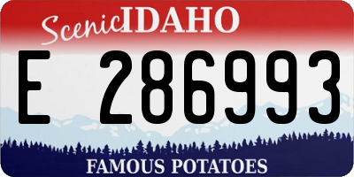 ID license plate E286993
