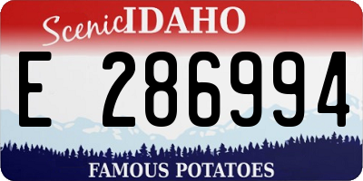 ID license plate E286994