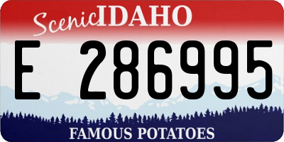 ID license plate E286995