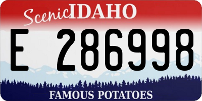 ID license plate E286998