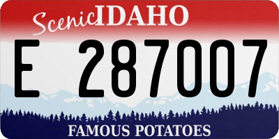 ID license plate E287007