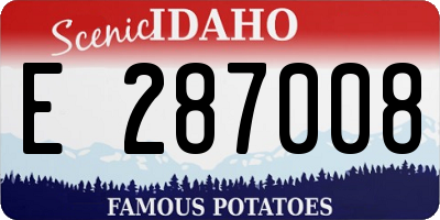 ID license plate E287008