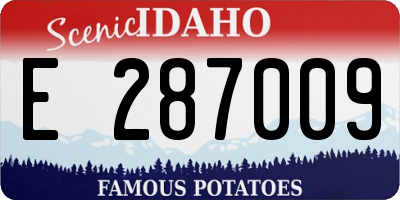 ID license plate E287009